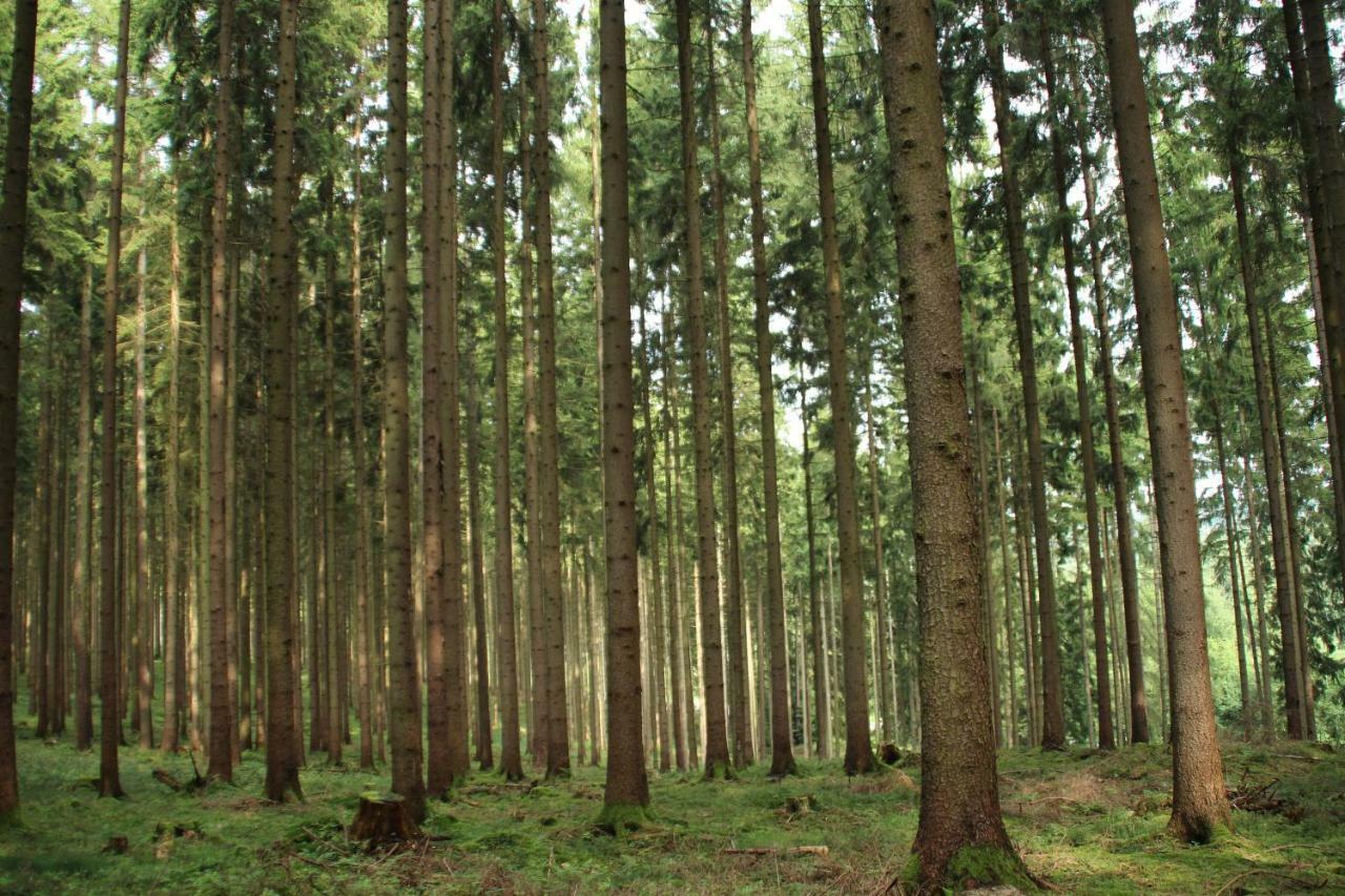 Ferienhaus "Gestiefelter Kater" Am See Im Bergland Kirchheim  Esterno foto
